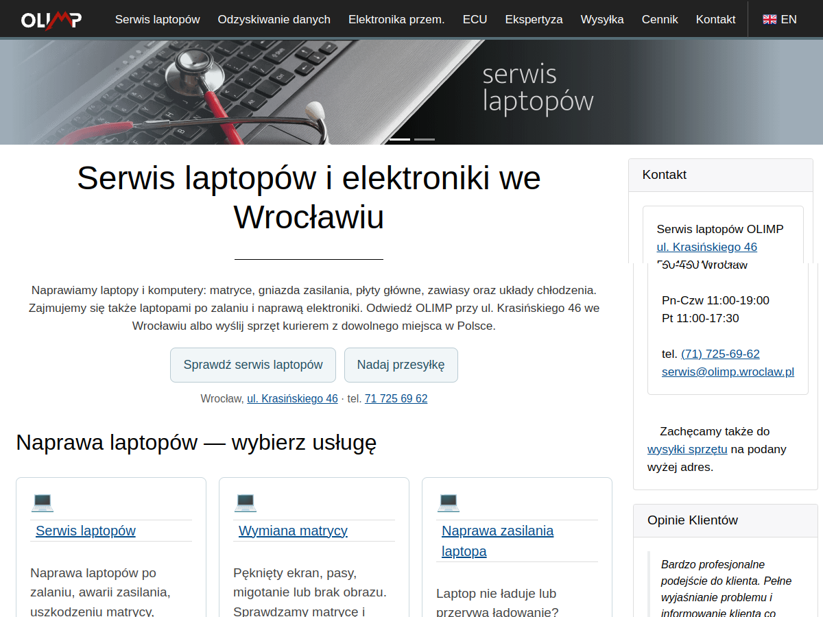 Podgląd strony oryginalnego biznesu Naprawa elektroniki